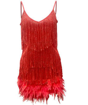 Women's Tassel Feather Dress